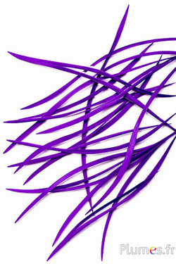 Gans - 10-17 cm - violett